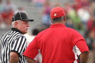 开云体育app-瑞典翻盘德国，费兰·托雷斯完成帽子戏法