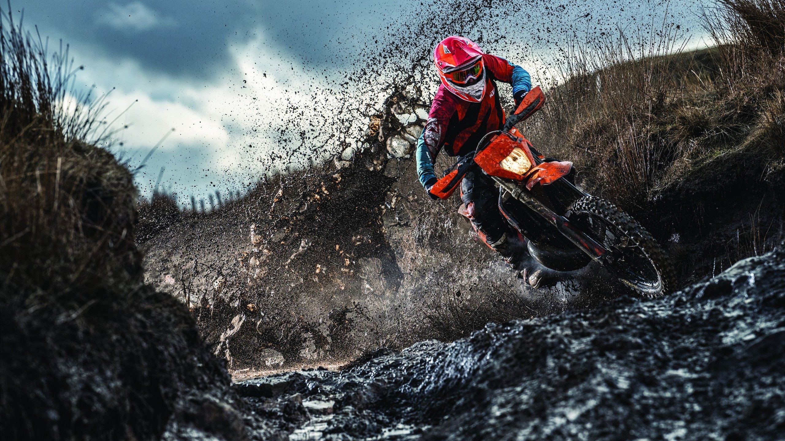 时空错位的狂欢,当开拓者狂胜浙江队,我们到底在讨论什么?